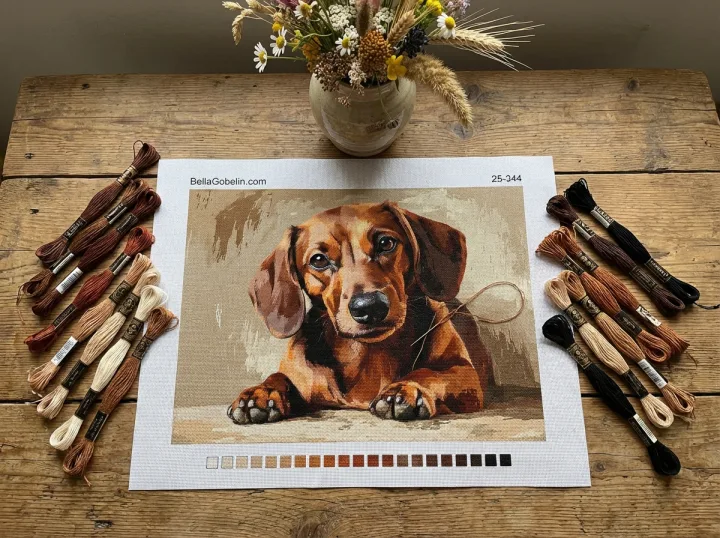 Dachshund Maminka
