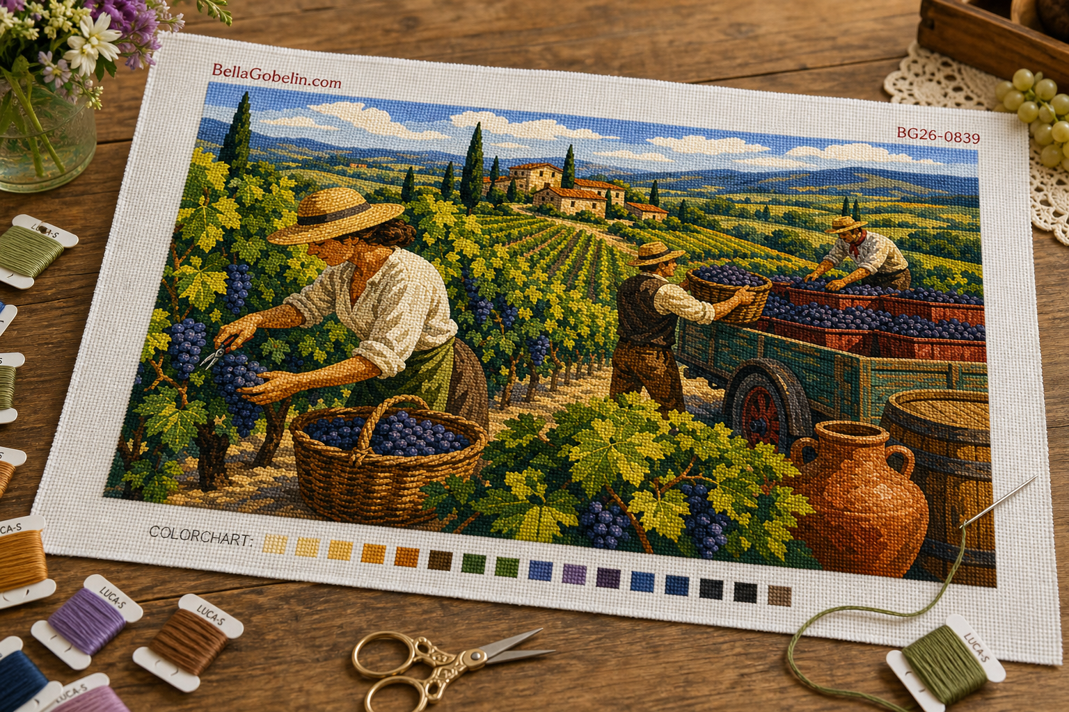 Toskánské vinobraní životní obraz