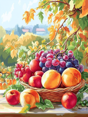Ovoce v košíku, zátiší – 25-239