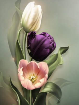 Tři tulipány