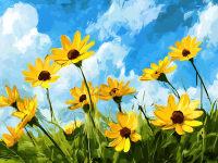 Žluté květiny na louce