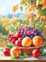 Ovoce v košíku, zátiší – 25-239
