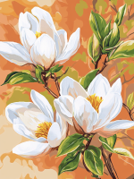 Kouzelně magnolie