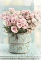 Romantická kytice růží