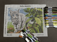 Zlobivá kočka kotě